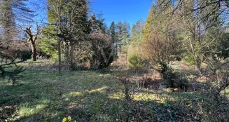 von_poll_real_estate_property_25241012_image_25