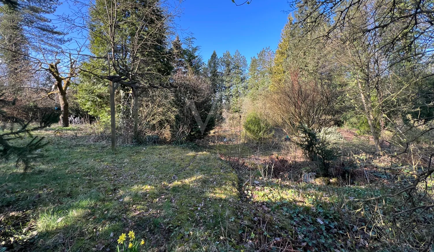 sanierungsbedürftiges, besonderes Architektenhaus mit Einliegerwohnung, in guter Lage zu Hannover