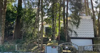 von_poll_real_estate_property_25241012_image_2