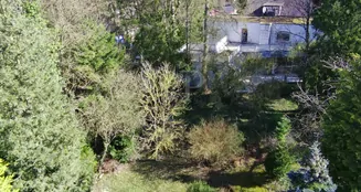 von_poll_real_estate_property_25241012_image_4