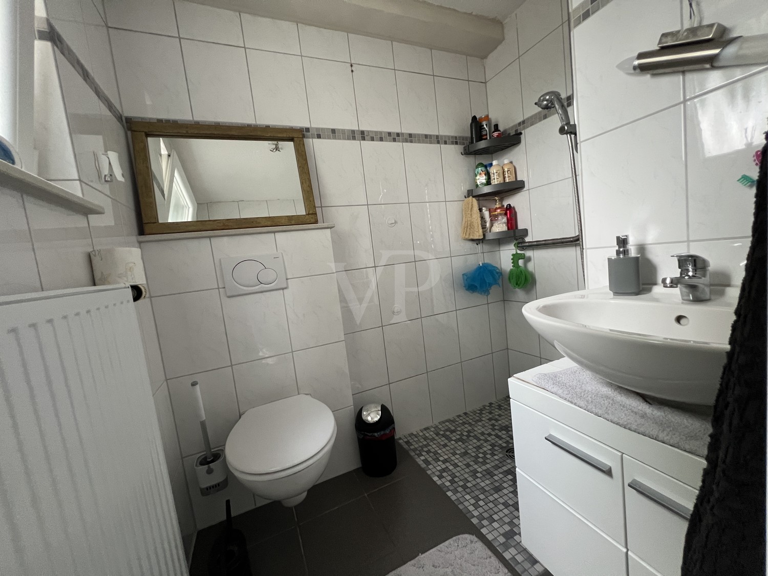 Gäste WC / Bad im EG