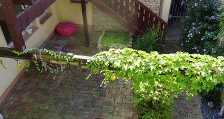 von_poll_real_estate_property_25241020_image_5