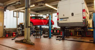 von_poll_real_estate_property_25241036_image_42