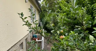 von_poll_real_estate_property_25241023_image_34