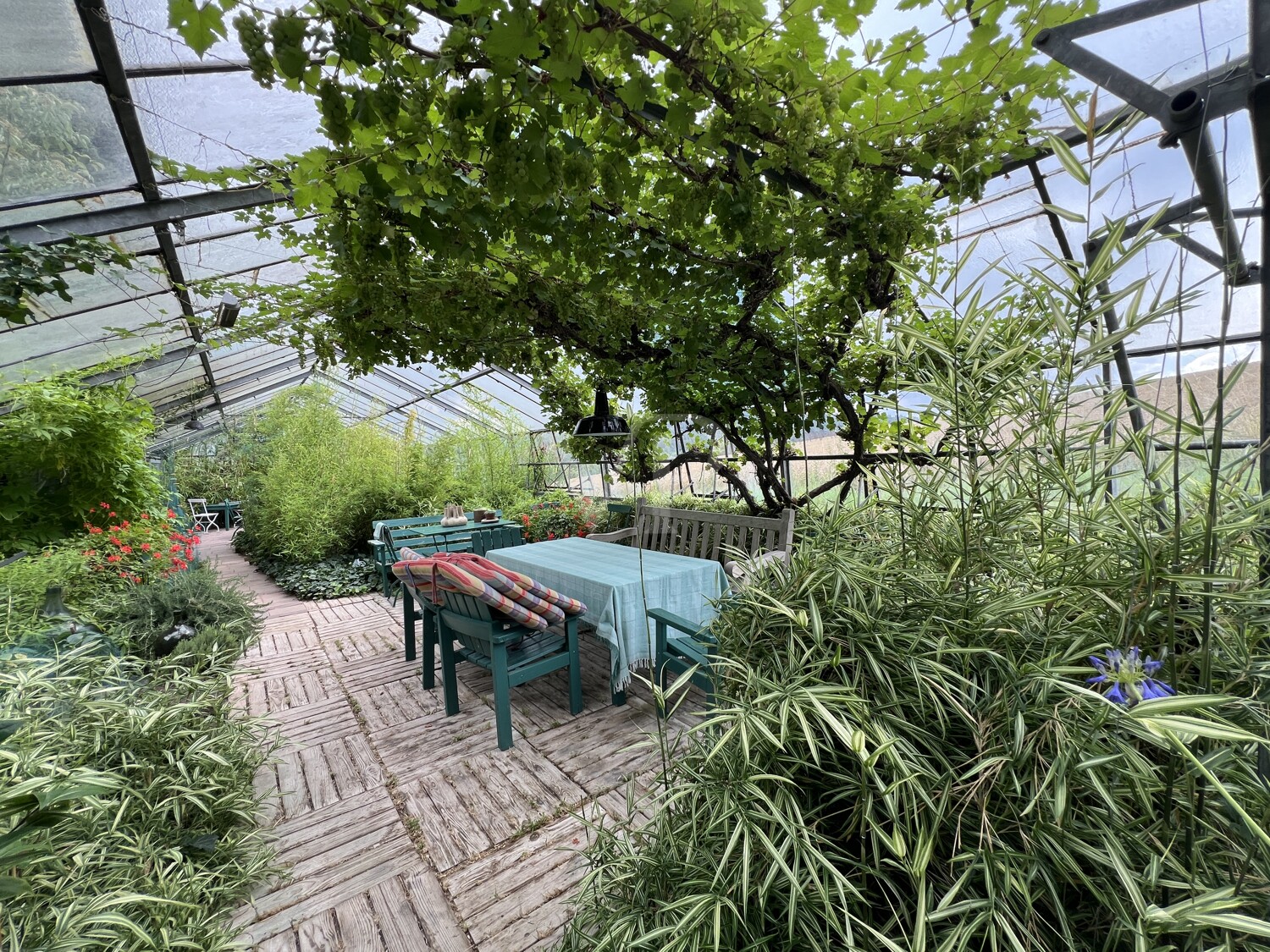 Gewächshaus/Wintergarten