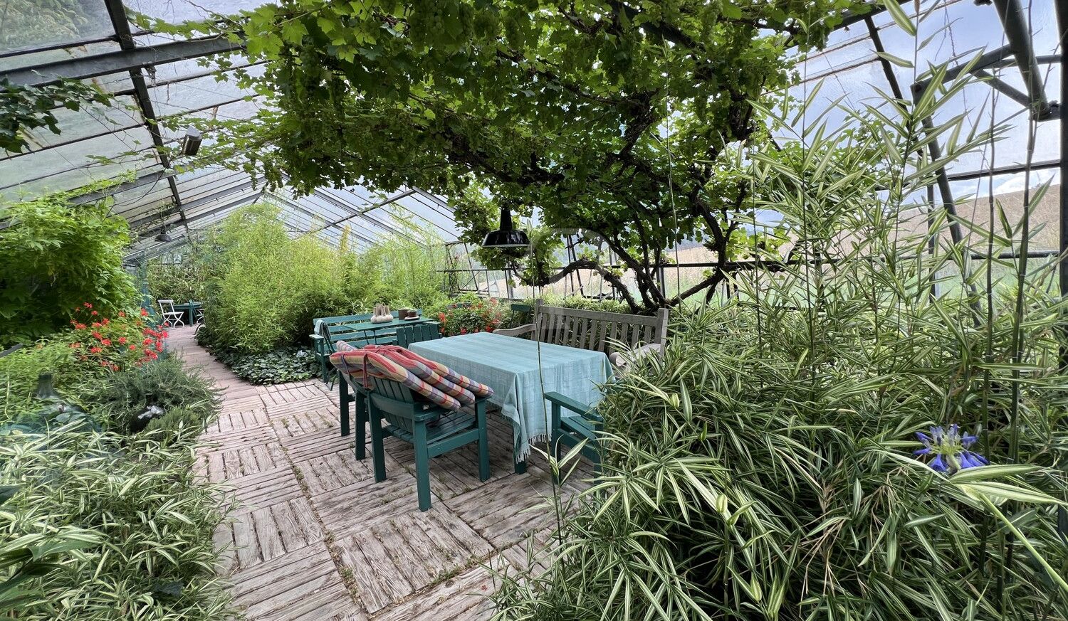Gewächshaus/Wintergarten