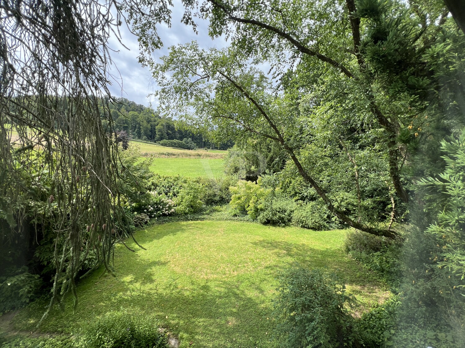 Liebhaber-Objekt in Hämelschenburg, 2 EFH mit großzügigem Gartenpark in Wandrandlage
