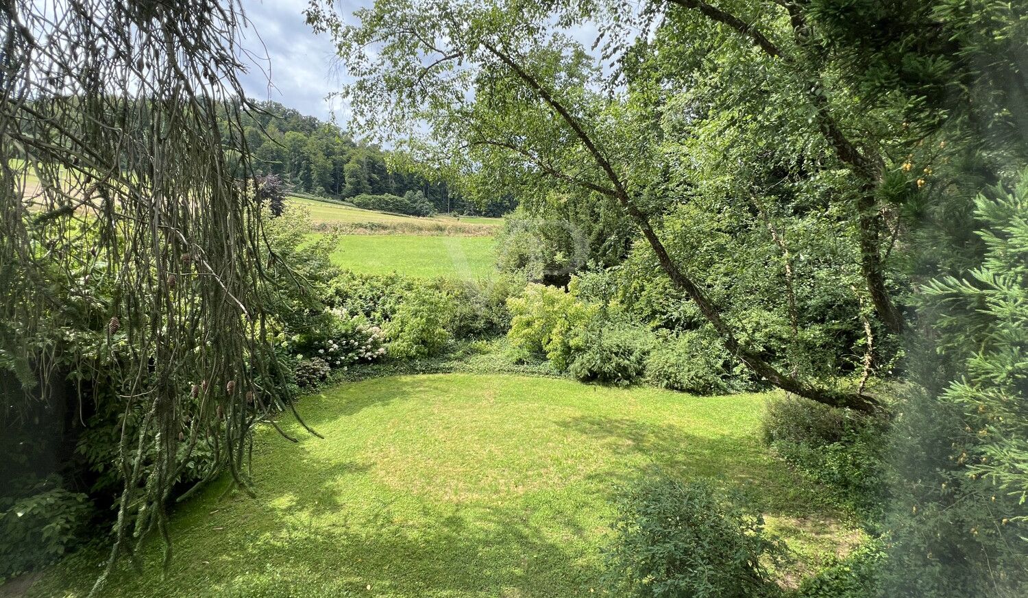 Liebhaber-Objekt in Hämelschenburg, 2 EFH mit großzügigem Gartenpark in Wandrandlage