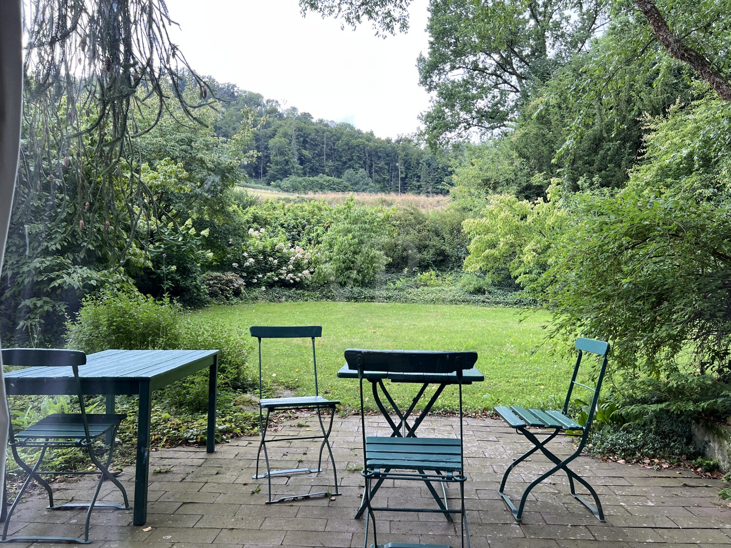 Liebhaber-Objekt in Hämelschenburg, 2 EFH mit großzügigem Gartenpark in Wandrandlage