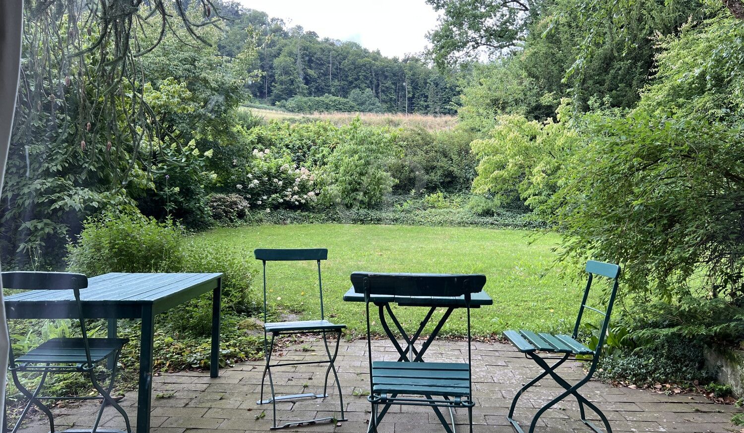 Liebhaber-Objekt in Hämelschenburg, 2 EFH mit großzügigem Gartenpark in Wandrandlage
