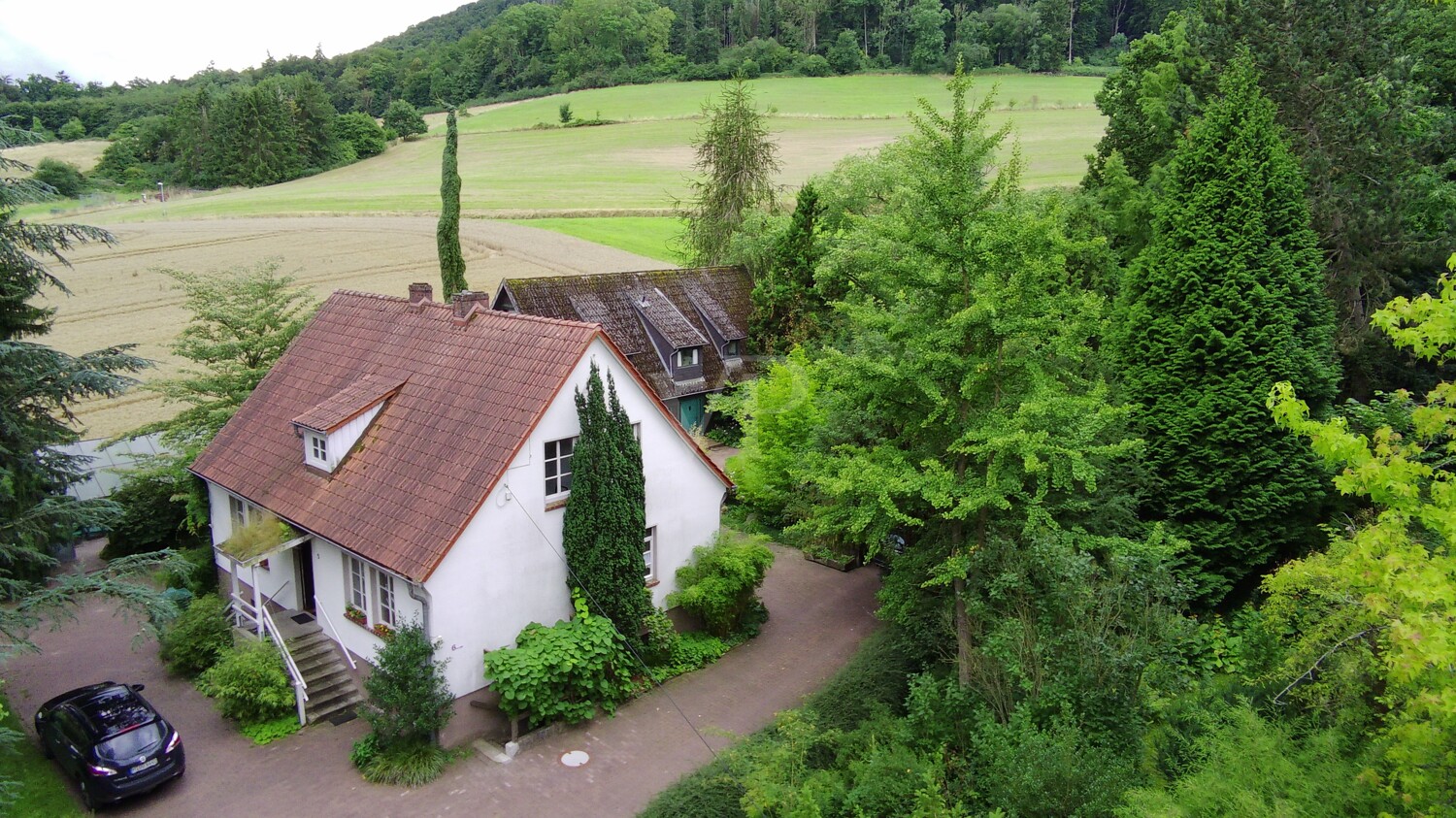 Liebhaber-Objekt in Hämelschenburg, 2 EFH mit großzügigem Gartenpark in Wandrandlage