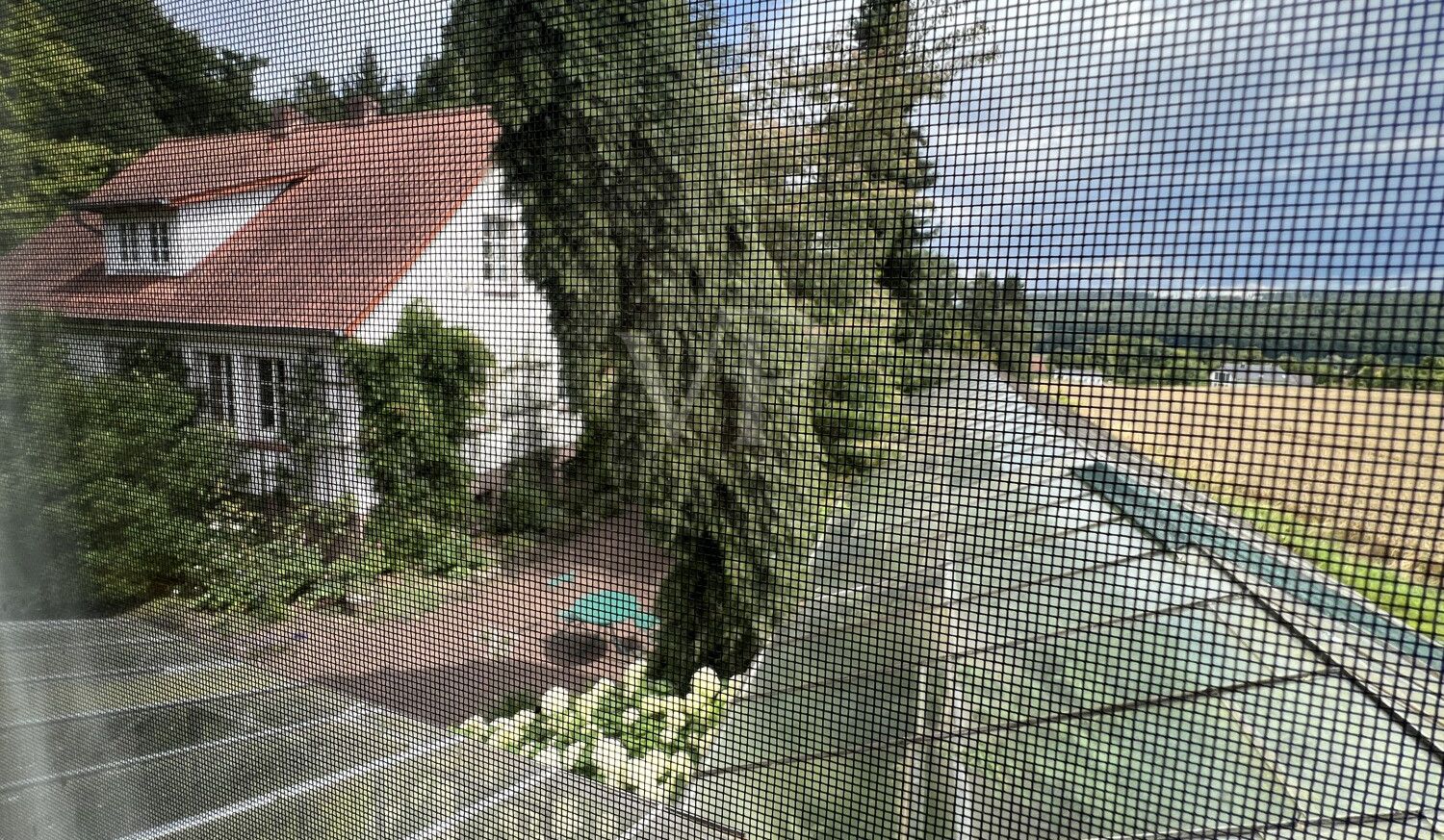 Gewächshaus/Wintergarten zwischen den Gebäuden