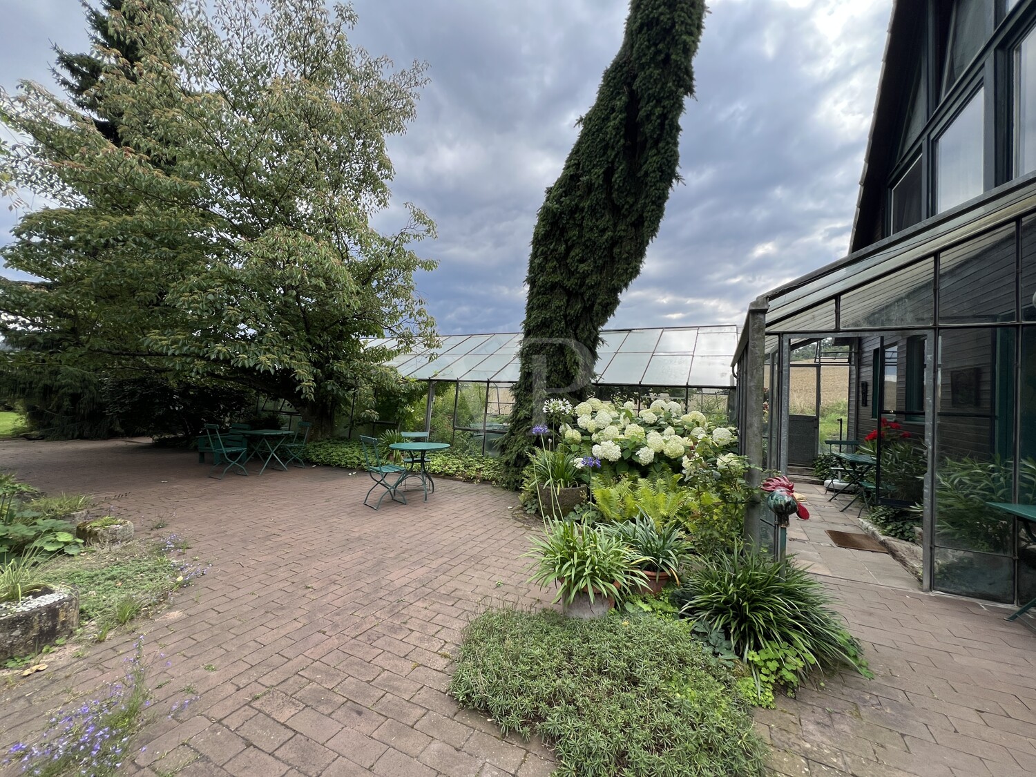 Liebhaber-Objekt in Hämelschenburg, 2 EFH mit großzügigem Gartenpark in Wandrandlage
