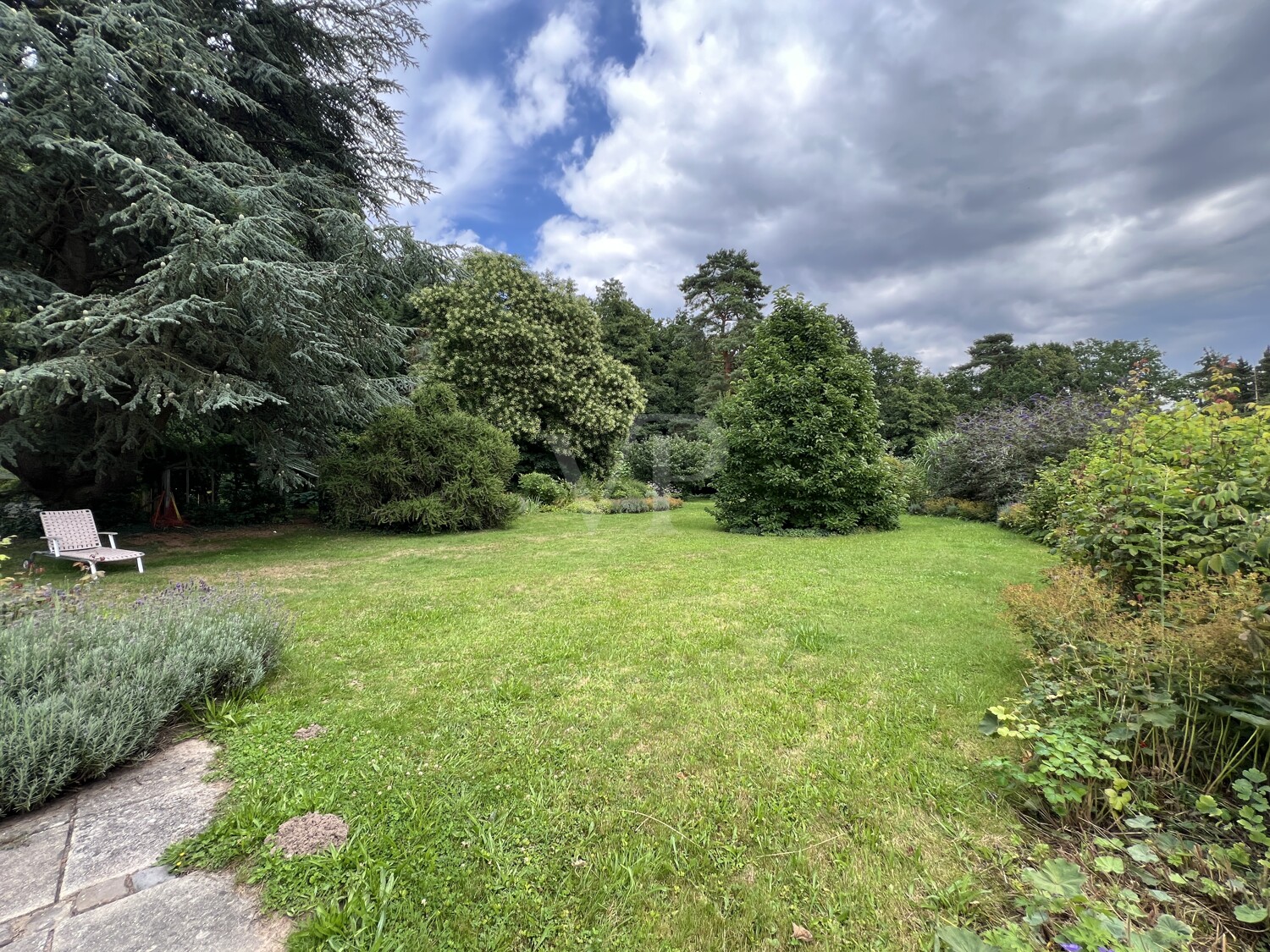 Liebhaber-Objekt in Hämelschenburg, 2 EFH mit großzügigem Gartenpark in Wandrandlage