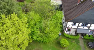 von_poll_real_estate_property_25241027_image_27