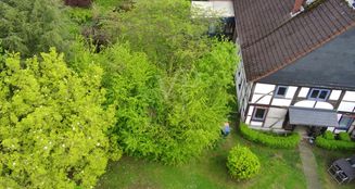 von_poll_real_estate_property_25241027_image_28