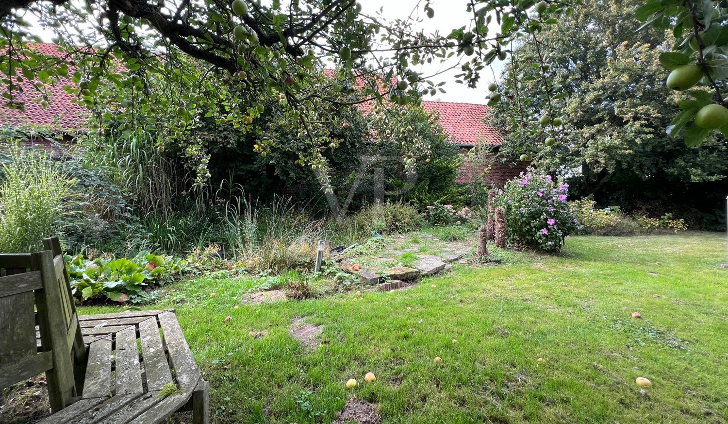Garten-Teich