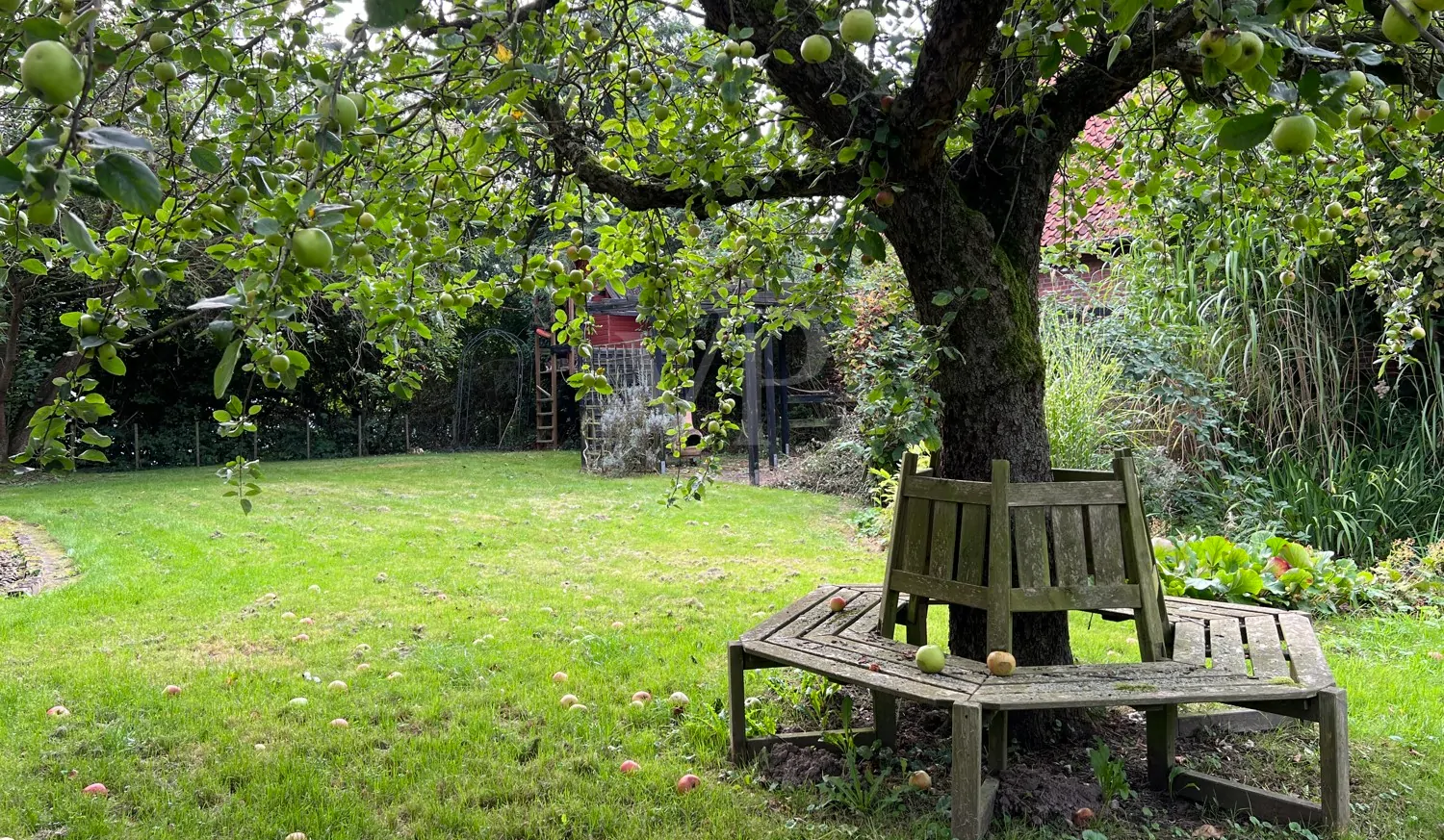 Ruhestellen im Garten