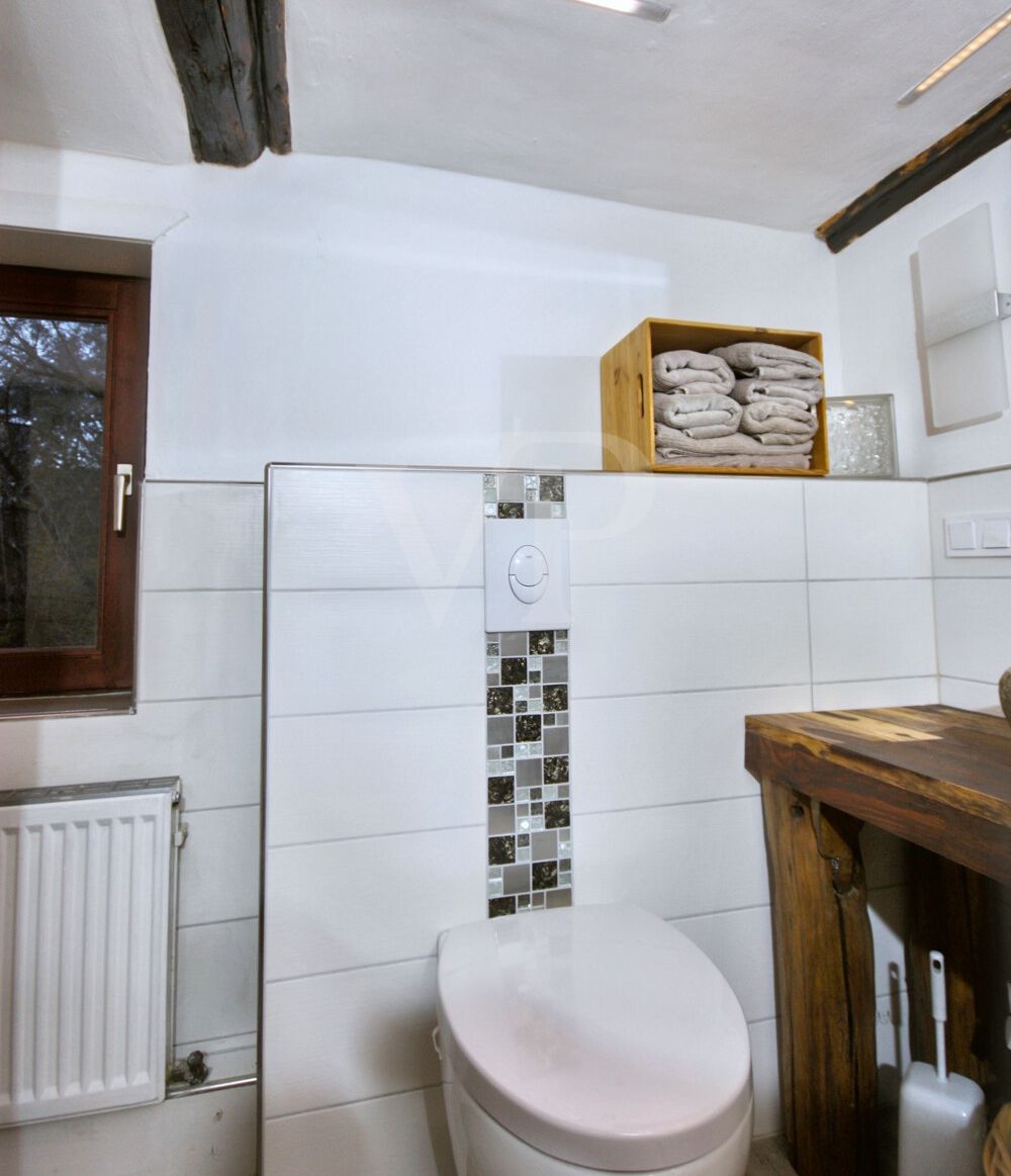 Altbau OG Bad