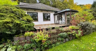 von_poll_real_estate_property_25241039_image_33