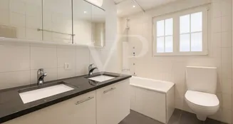 von_poll_real_estate_property_CH222463823_image_11