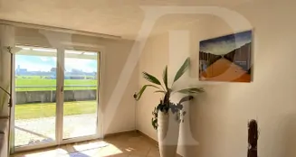 von_poll_real_estate_property_CH242466895_image_17