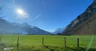 von_poll_real_estate_property_CH242466895_image_16