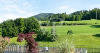 von_poll_real_estate_property_CH242467061_image_0