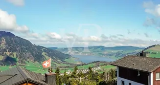 von_poll_real_estate_property_CH242467894_image_8