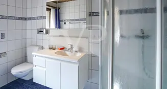 von_poll_real_estate_property_CH242467894_image_15