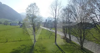 von_poll_real_estate_property_CH252468325_image_11