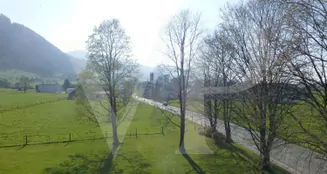 von_poll_real_estate_property_CH252468325_image_11