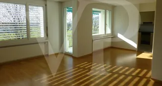 von_poll_real_estate_property_CH252468325_image_10