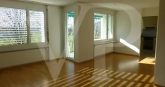 von_poll_real_estate_property_CH252468325_image_10