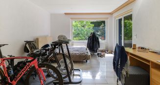 von_poll_real_estate_property_CH252468404_image_19