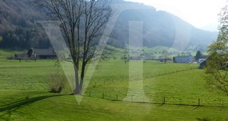 von_poll_real_estate_property_CH252468429_image_4