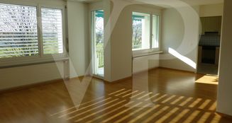 von_poll_real_estate_property_CH252468429_image_6