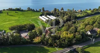 von_poll_real_estate_property_CH252468440_image_15