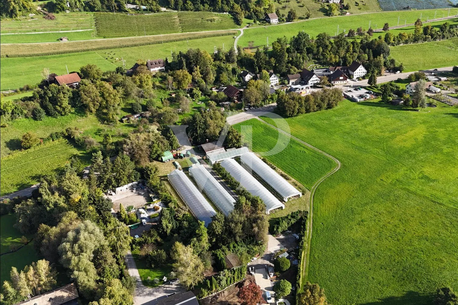 Blick vom See aus Südwestlich