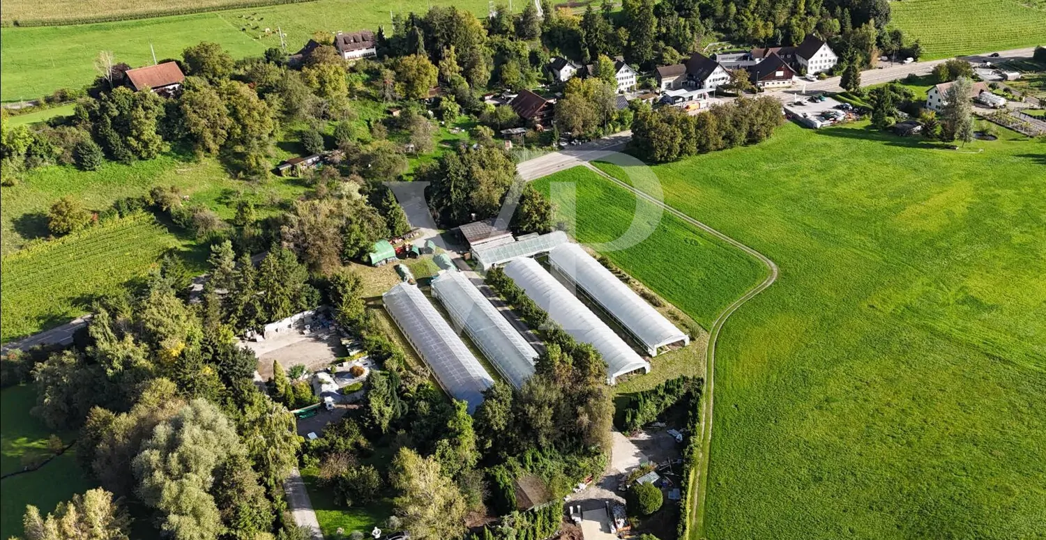 Blick vom See aus Südwestlich