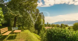 von_poll_real_estate_property_CH252468440_image_12