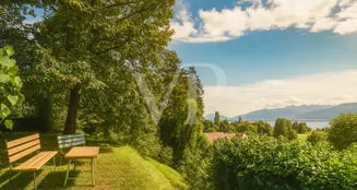 von_poll_real_estate_property_CH252468440_image_13