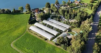 von_poll_real_estate_property_CH252468440_image_4