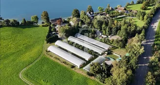 von_poll_real_estate_property_CH252468440_image_5