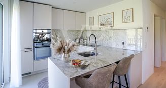 von_poll_real_estate_property_CH252468476_image_8