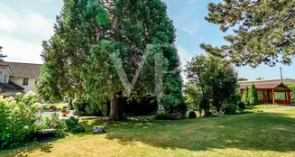 von_poll_real_estate_property_CH252468482_image_17