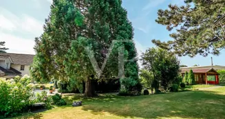 von_poll_real_estate_property_CH252468482_image_17