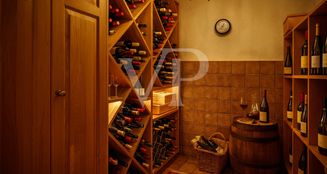 von_poll_real_estate_property_CH252468482_image_12