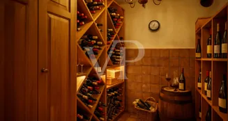 von_poll_real_estate_property_CH252468482_image_13