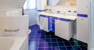 von_poll_real_estate_property_CH252468482_image_9